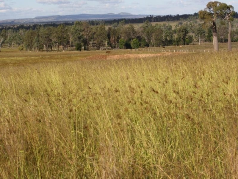 Proston QLD 4613