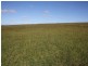 Proston QLD 4613
