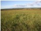 Proston QLD 4613