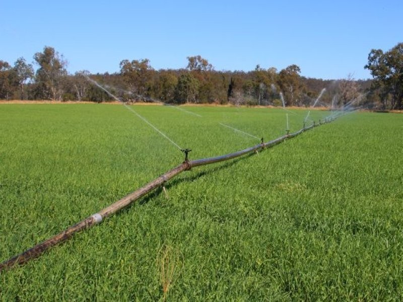 Monto QLD 4630