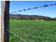 Monto QLD 4630