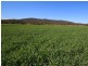 Monto QLD 4630