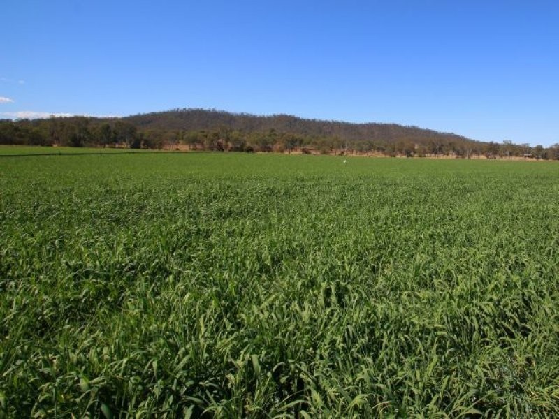 Monto QLD 4630