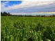 Monto QLD 4630