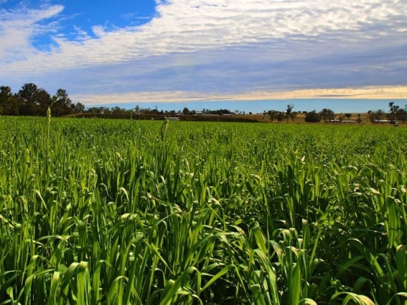 Monto QLD 4630