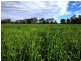 Monto QLD 4630