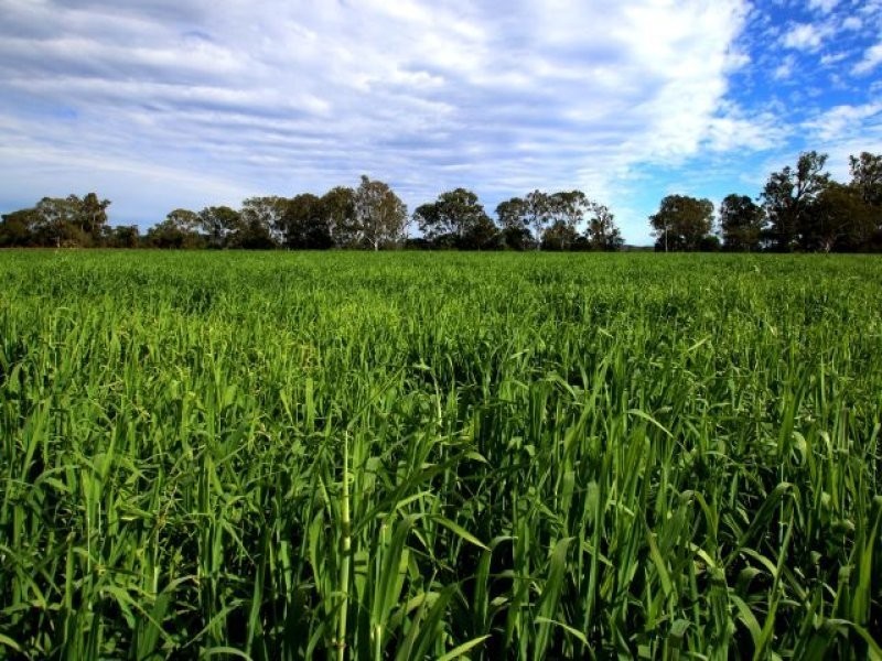 Monto QLD 4630