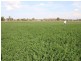 “Shed Block” Loakes Road, Mundubbera QLD 4626