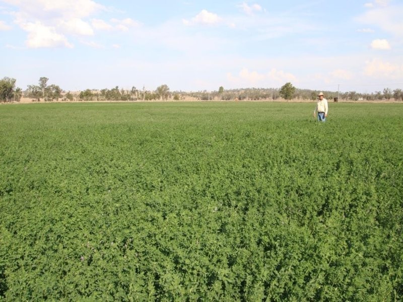 “Shed Block” Loakes Road, Mundubbera QLD 4626