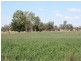 “Shed Block” Loakes Road, Mundubbera QLD 4626