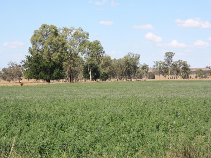 “Shed Block” Loakes Road, Mundubbera QLD 4626