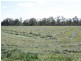 “Shed Block” Loakes Road, Mundubbera QLD 4626