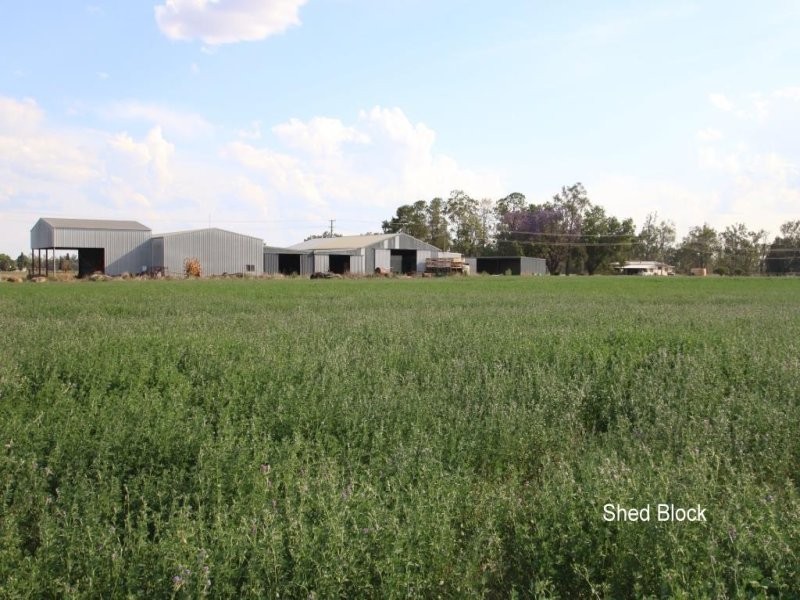 “Loakglen” Loakes Road, Mundubbera QLD 4626