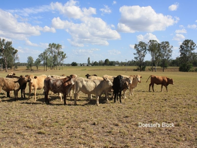 “Loakglen” Loakes Road, Mundubbera QLD 4626