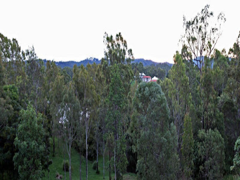 31 Brimblecombe Circuit, Pullenvale QLD 4069