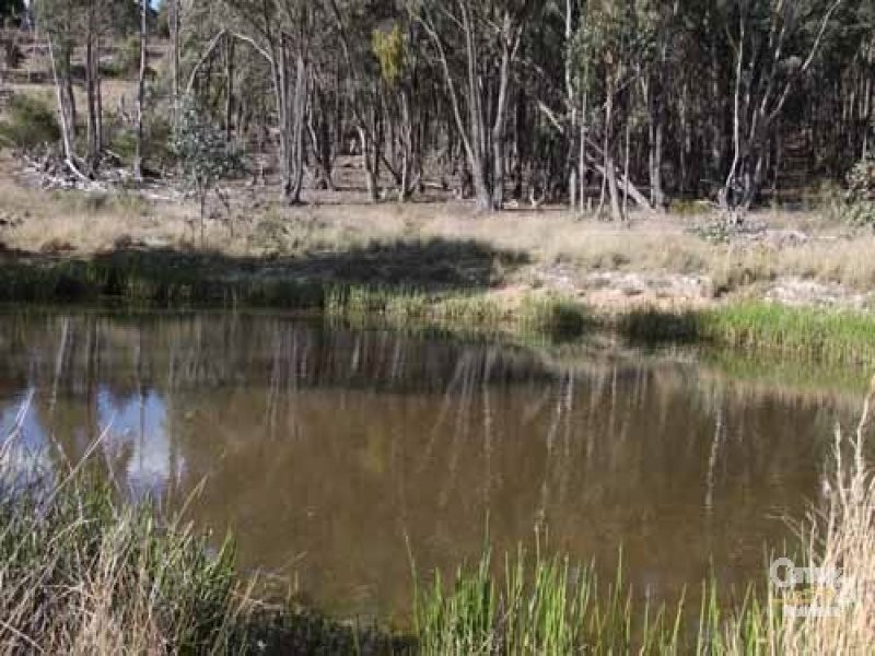 115 Deepwater Road, Emmaville NSW 2371