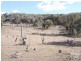 115 Deepwater Road, Emmaville NSW 2371