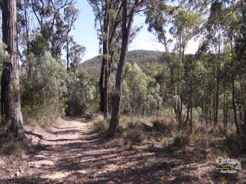 2293 Emmaville road, Glen Innes NSW 2370