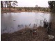598 Yarraford Road, Dundee NSW 2370