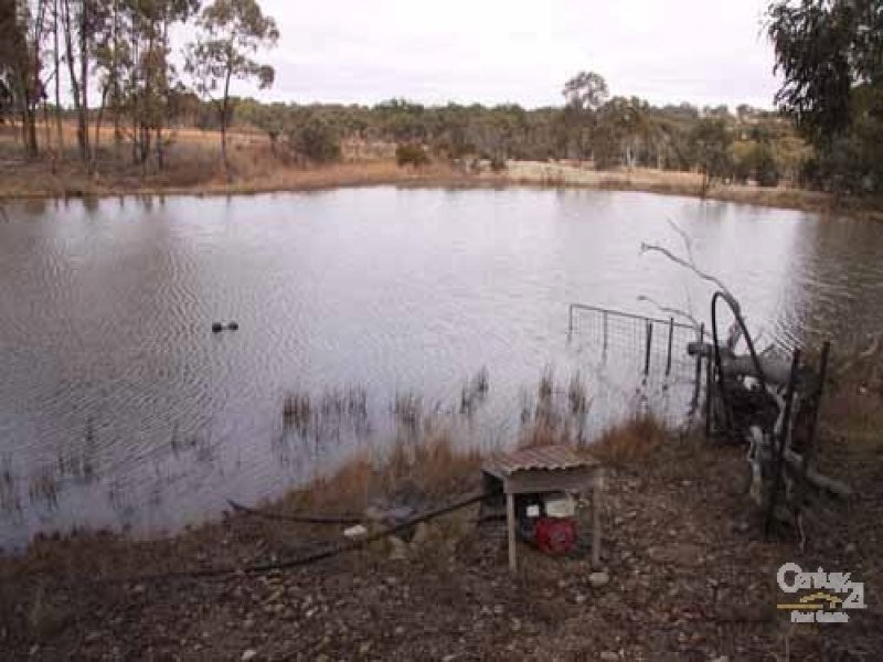 598 Yarraford Road, Dundee NSW 2370