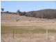 800 Polhill Road, Wellingrove NSW 2370