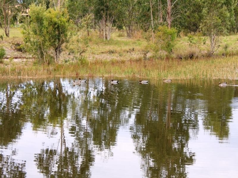 18 Amaroo Place, Cooroibah QLD 4565