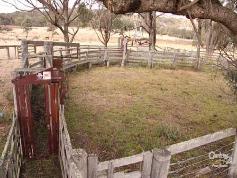 610 Carrot Farm Road, Deepwater NSW 2371