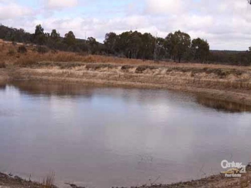 610 Carrot Farm Road, Deepwater NSW 2371