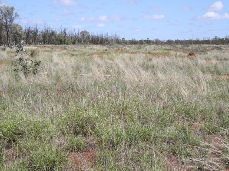 1 Abbieglassie Bargunyah Road, Mitchell QLD 4465