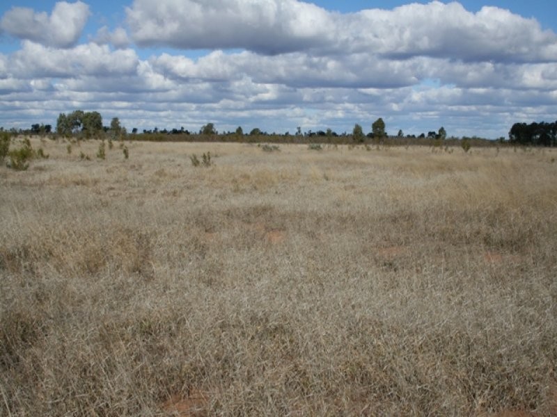 Lot 3 Seventeen Mile Lane, Roma QLD 4455