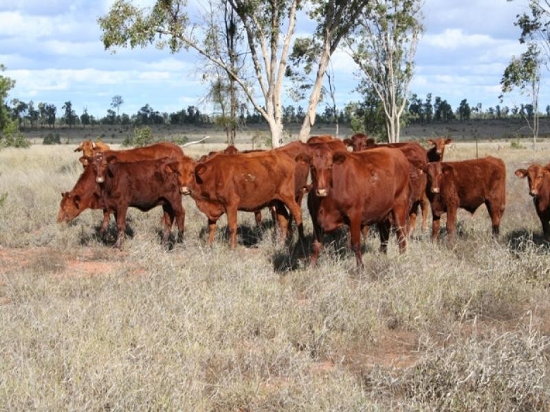 Lot 3 Seventeen Mile Lane, Roma QLD 4455