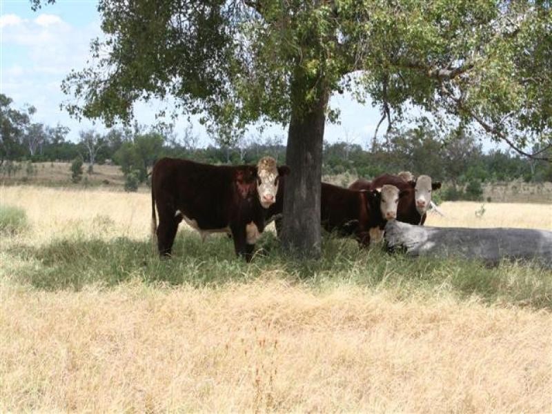 0 Wallumbilla North Road, Wallumbilla QLD 4428