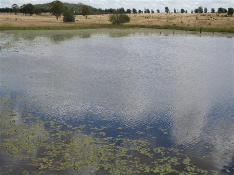 0 Wallumbilla North Road, Wallumbilla QLD 4428