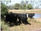 0 Roma Taroom Road, Roma QLD 4455