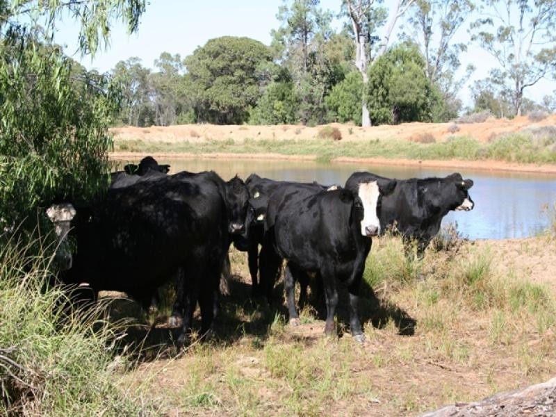 0 Roma Taroom Road, Roma QLD 4455