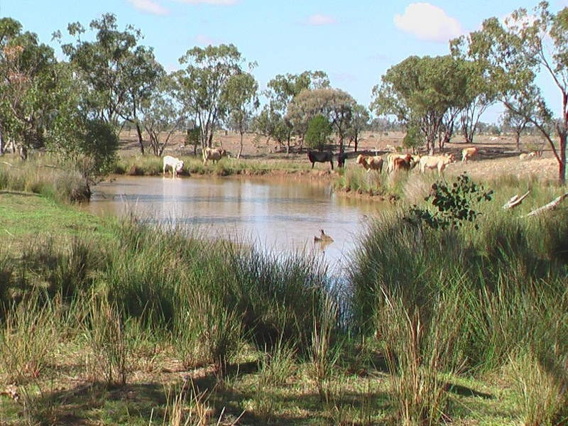 1 Araby, Roma QLD 4455