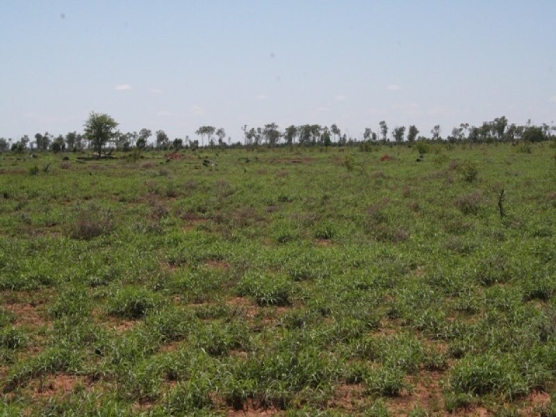 1 Araby, Roma QLD 4455