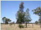 Wallumbilla QLD 4428