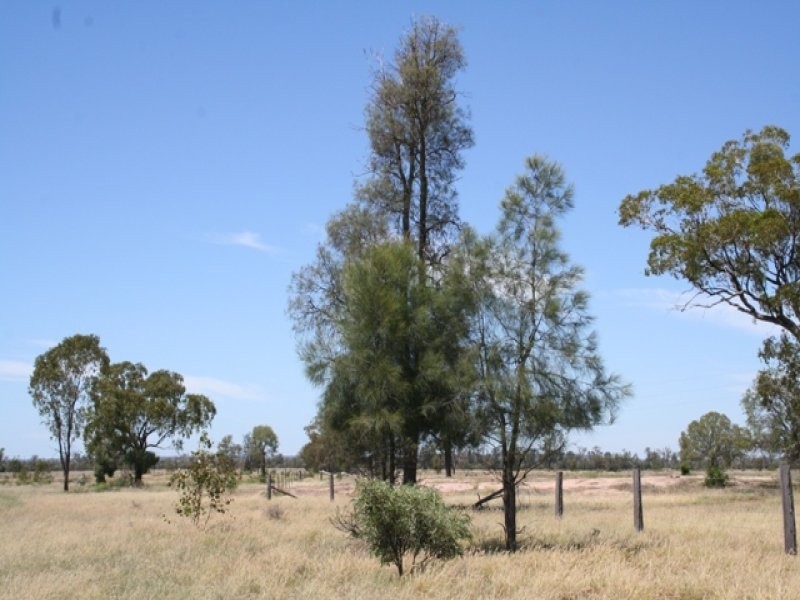 Wallumbilla QLD 4428