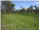 Warrong Injune, Injune QLD 4454
