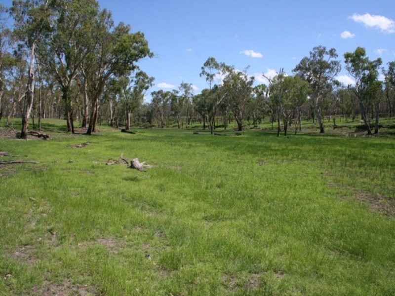 Warrong Injune, Injune QLD 4454
