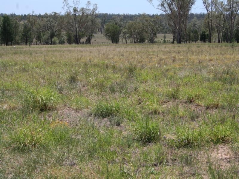 0 Warrego Highway, Wallumbilla QLD 4428