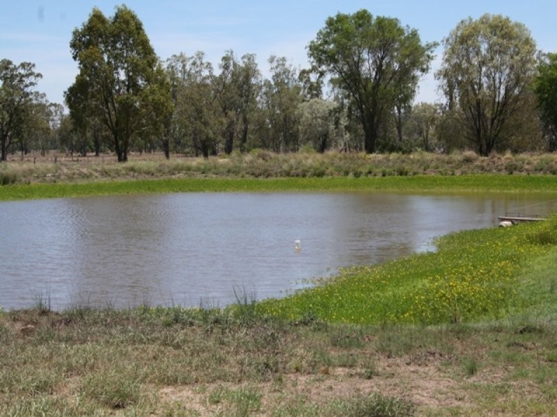0 Warrego Highway, Wallumbilla QLD 4428