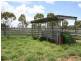 0 BUNDALLOCH, Bollon QLD 4488
