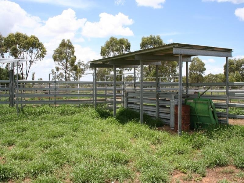 0 BUNDALLOCH, Bollon QLD 4488