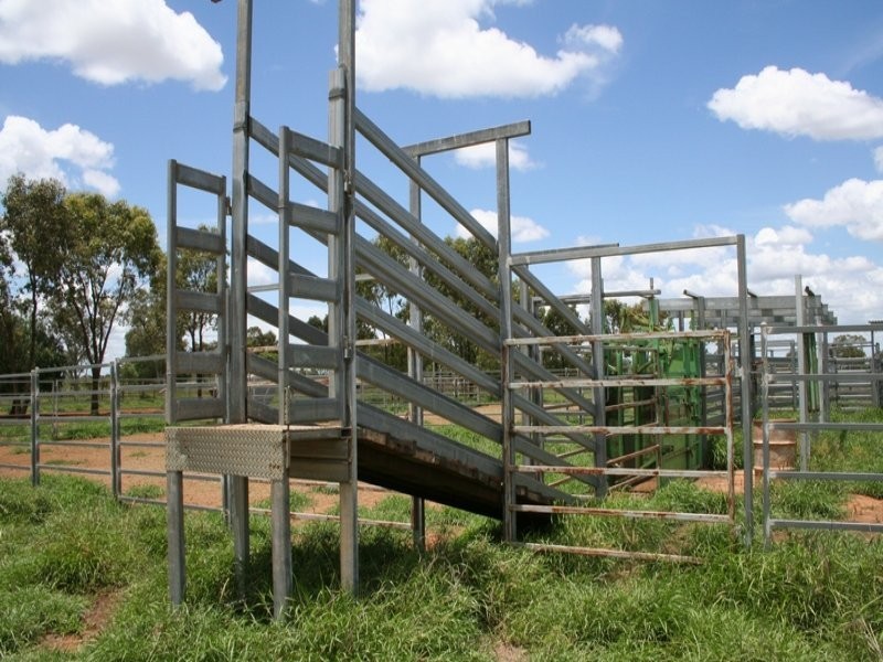 0 BUNDALLOCH, Bollon QLD 4488