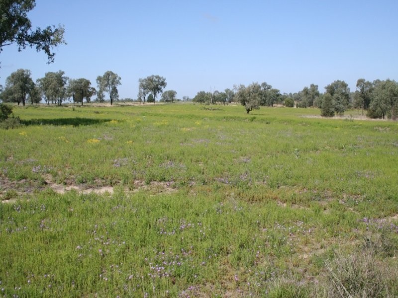 0 CARNARVON HIGHWAY, Roma QLD 4455