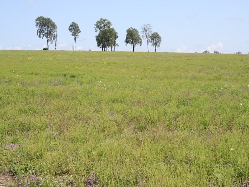 0 CARNARVON HIGHWAY, Roma QLD 4455