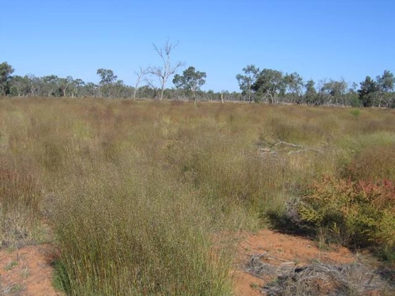 0 ALPHA STATION, Wyandra QLD 4489