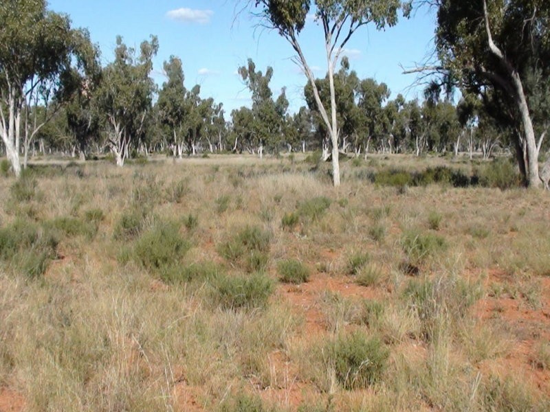 0 ALPHA STATION, Wyandra QLD 4489